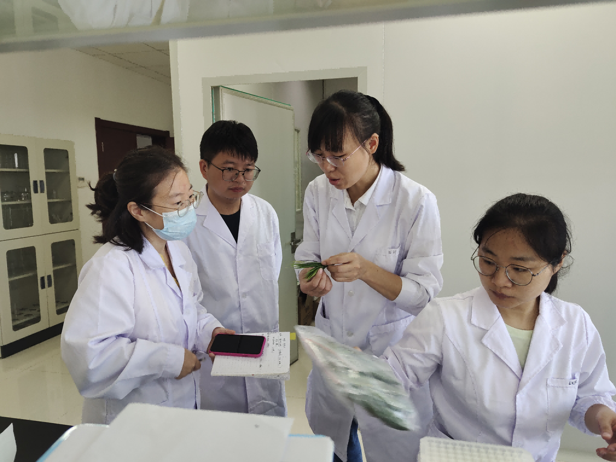 圖片4.png 圖片4.png